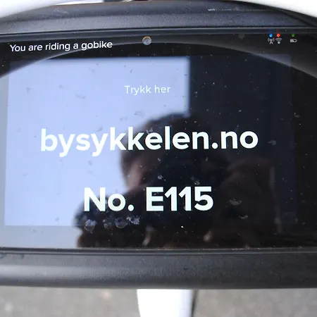 Daire Bjorvika - Fiskepiren *