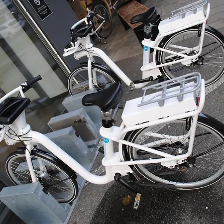 Daire Bjorvika - Fiskepiren *